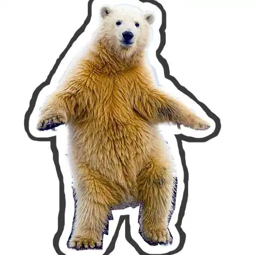 Free play online Polar Bear does APK