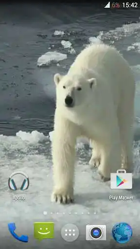 Play Polar bear HD. Video Wallpaper  and enjoy Polar bear HD. Video Wallpaper with UptoPlay