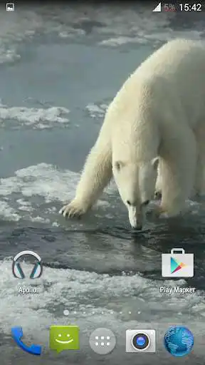 Play Polar bear HD. Video Wallpaper as an online game Polar bear HD. Video Wallpaper with UptoPlay