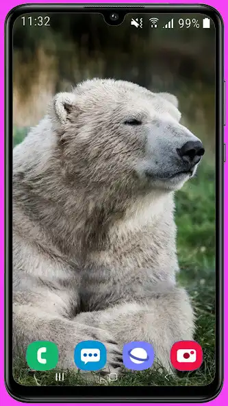 Play Polar Bear HD Wallpaper  and enjoy Polar Bear HD Wallpaper with UptoPlay