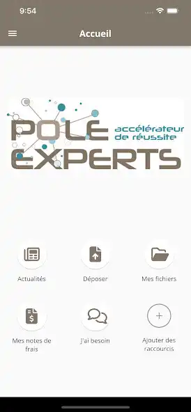 Play POLE EXPERTS as an online game POLE EXPERTS with UptoPlay