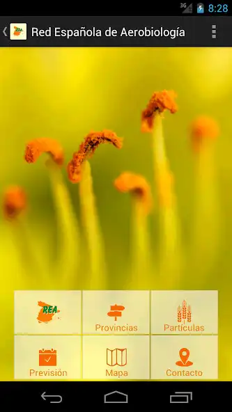 Play Polen REA  and enjoy Polen REA with UptoPlay