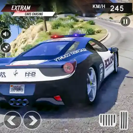 Play Police Car Chase Thief Games 2 APK