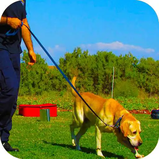 Run free android online Police Dog Stunt Training APK Run free android online Police Dog Stunt Training APK