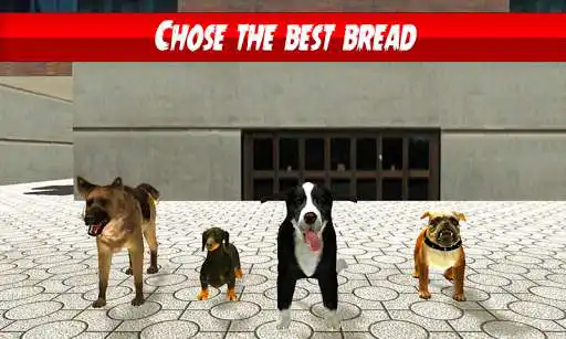 Play Police Dog Training Simulator - Anti Crime Dog 19 as an online game online Police Dog Training Simulator - Anti Crime Dog 19 with UptoPlay com.professionalgamingart.policedogtrainingsimulator Play Police Dog Training Simulator - Anti Crime Dog 19 as an online game Police Dog Training Simulator - Anti Crime Dog 19 with UptoPlay