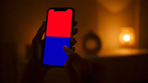 Play Police Light and Siren