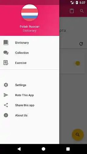 Play Polish Russian Offline Dictionary  Translator