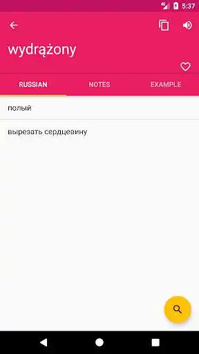 Play Polish Russian Offline Dictionary  Translator
