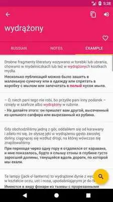 Play Polish Russian Offline Dictionary  Translator