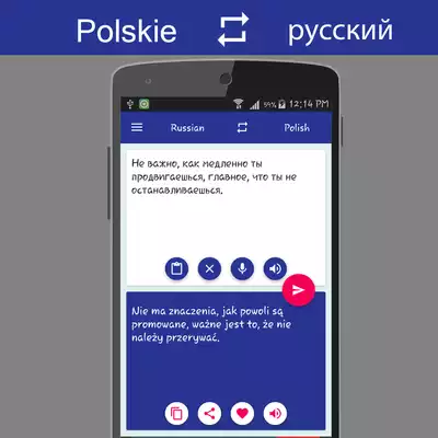 Play Polish - Russian Translator