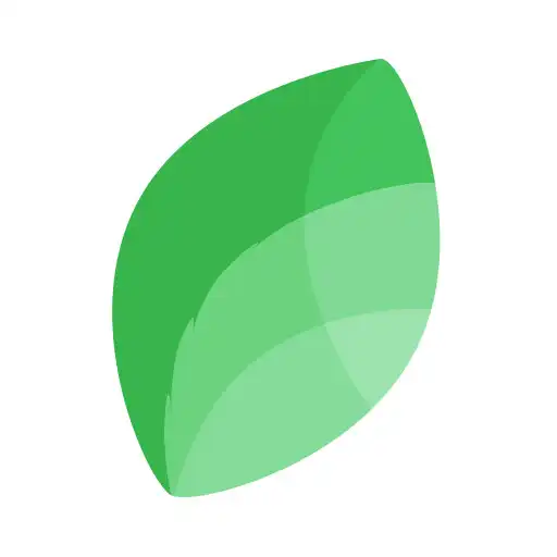 Play Pollen сlub APK