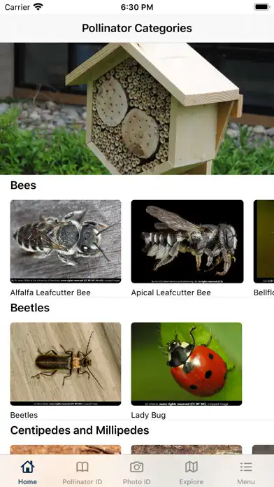 Play PolliNation ID  and enjoy PolliNation ID with UptoPlay
