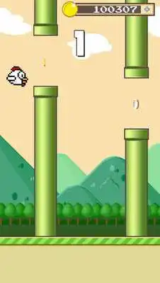 Play Pollo Birds: The Chicken Flies