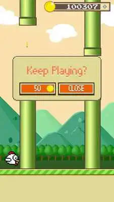Play Pollo Birds: The Chicken Flies