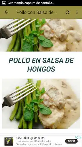 Play Pollo en Salsas