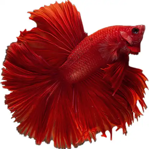 Play Pollution Survival APK