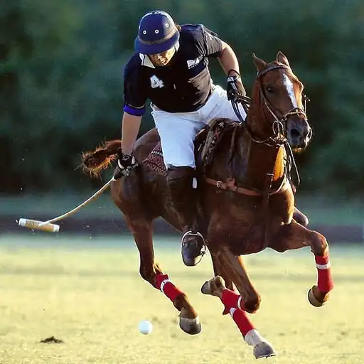 Play Polo 3D APK
