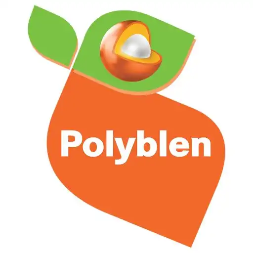 Play Polyblen APK