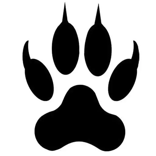 Play Polygone Beziers - Safari Experience APK Play Polygone Beziers - Safari Experience APK