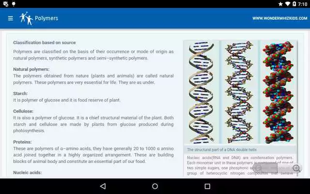 Play Polymers