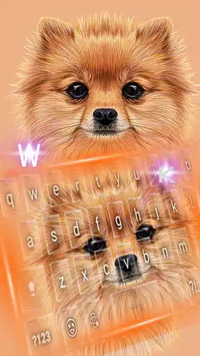 Play Pomeranian puppy keyboard as an online game online Pomeranian puppy keyboard with UptoPlay Play Pomeranian puppy keyboard as an online game Pomeranian puppy keyboard with UptoPlay