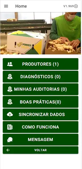 Play Pommer Ginger as an online game Pommer Ginger with UptoPlay