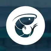 Free play online PondLogs APK Free play online PondLogs APK