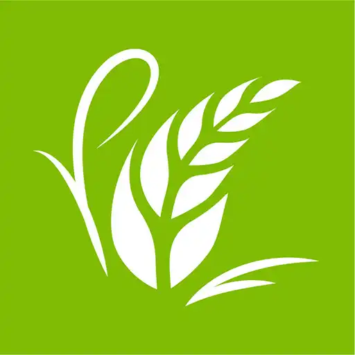 Play Pondy Rice - Home Delivery APK Play Pondy Rice - Home Delivery APK