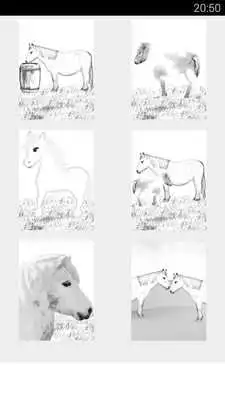 Play pony coloring games Play pony coloring games
