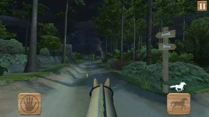 Play Pony Trails