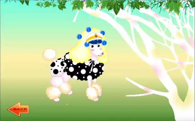 Play Poodle Dogs Dress Up Play Poodle Dogs Dress Up