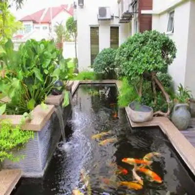 Play Pool Garden Design