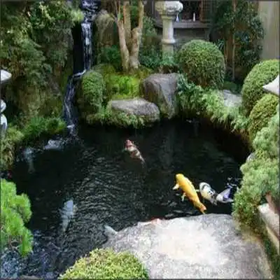 Play Pool Garden Design