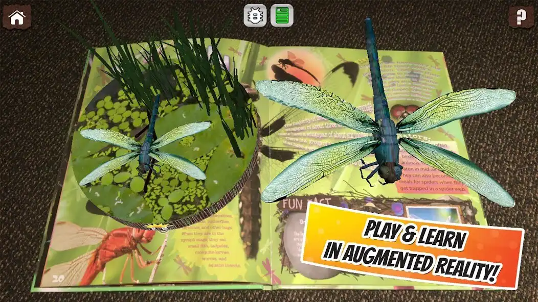 Play Popar Bugs  and enjoy Popar Bugs with UptoPlay