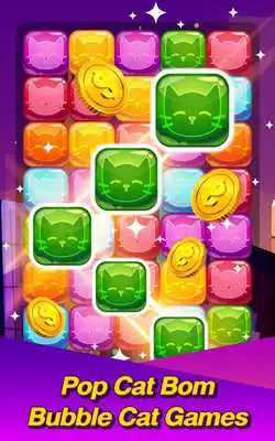 Play Pop Cat Bom Bubble