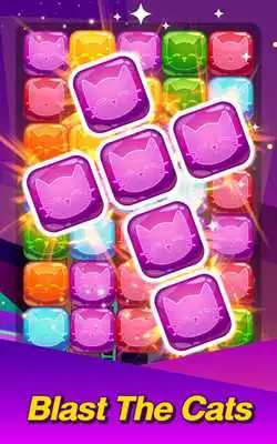 Play Pop Cat Bom Bubble