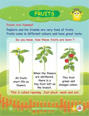 Play PopKorn Beginner Learn World Around Us