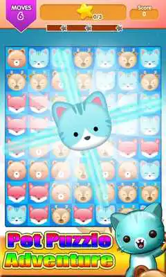 Play Pop Pet Puzzle Adventure Line