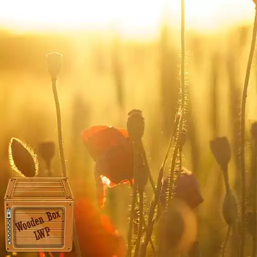 Play Poppies Wallpaper APK