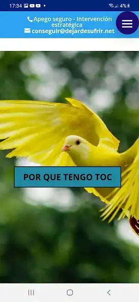 Play ¿Por qué tengo toc? (OCD)  and enjoy ¿Por qué tengo toc? (OCD) with UptoPlay