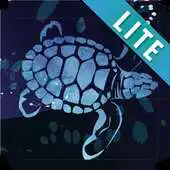 Free play online Port Hedland Turtle Loop LITE APK