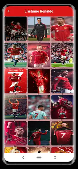 Play Portugalian team wallpaper as an online game Portugalian team wallpaper with UptoPlay