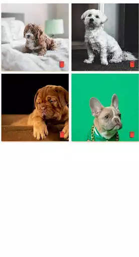 Play Postify - Plan and Preview Instagram Feed as an online game Postify - Plan and Preview Instagram Feed with UptoPlay