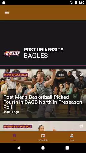 Play Post University Eagles  and enjoy Post University Eagles with UptoPlay