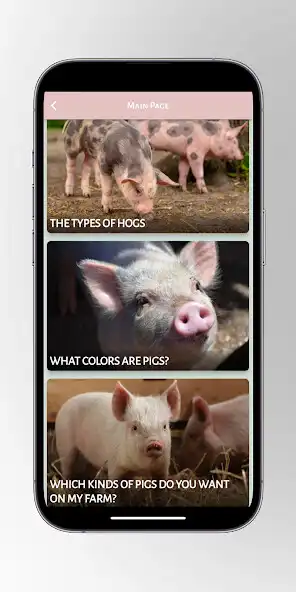 Play Pot Bellied Pig : Pigs as an online game Pot Bellied Pig : Pigs with UptoPlay