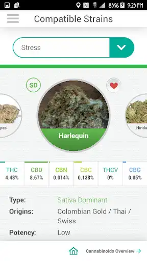Play PotBot Medical Marijuana App  and enjoy PotBot Medical Marijuana App with UptoPlay