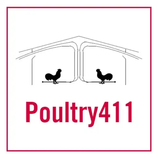 Play Poultry411 APK