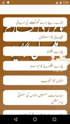 Play Poultry Farm Guide Urdu as an online game Poultry Farm Guide Urdu with UptoPlay