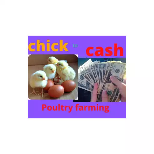 Play POULTRY FARMING APK Play POULTRY FARMING APK
