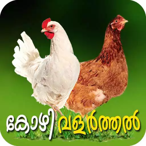 Free play online Poultry Farming Malayalam APK Free play online Poultry Farming Malayalam APK